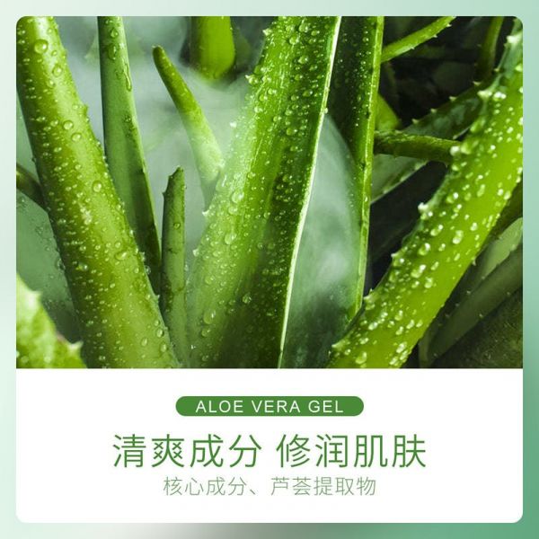 ZHIDUO Moisturizing, leave-in gel Aloe Vera Gel for face and body, 40 gr.